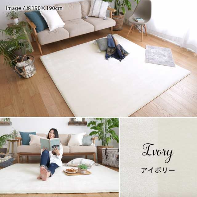 低反発 高反発 3層ウレタン フランネルラグ 【190×240cm】 LM-102 トシシミズ Natural Posture｜au PAY マーケット