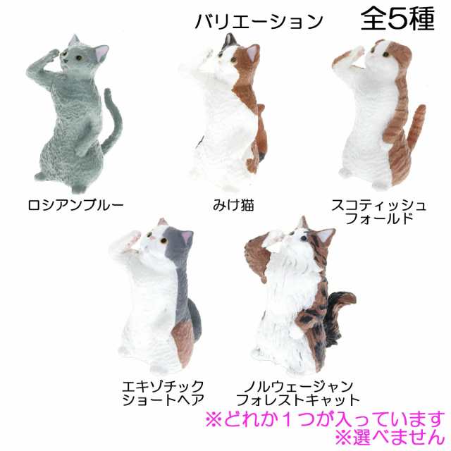 フィギュア ふちやすみにゃんこ 敬礼猫 1個入2箱セット エール