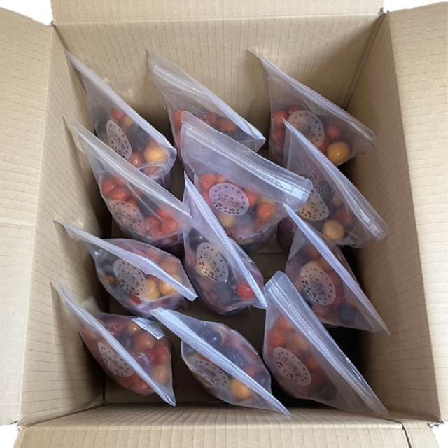 冷凍フルーツ 訳あり 冷凍さくらんぼ 赤 加工用 種あり 500g×12袋 大橋さくらんぼ園 北海道産 完熟 樹上 急速冷凍 お取り寄せ 業務用 家庭用 さくらんぼ