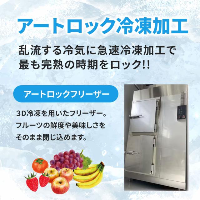 冷凍イチゴ 淡雪 500g×2パック 計1kg POPLAB 冷凍 いちご ストロベリー