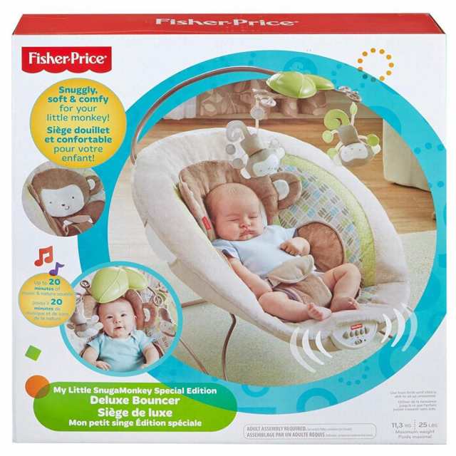 fisher price bouncer safety