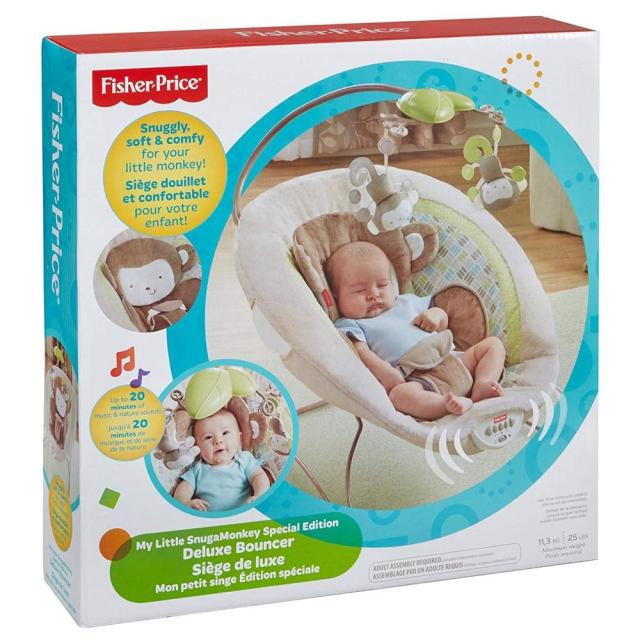 fisher price bouncer safety