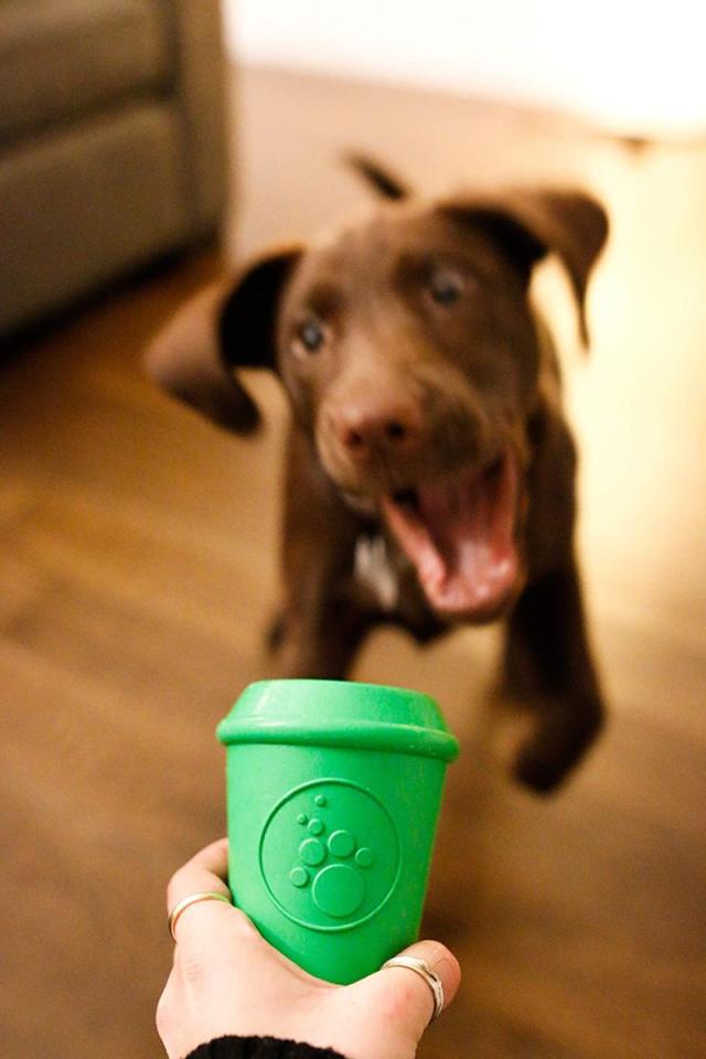 犬用コーヒカップ型おもちゃ Sodapup 天然ゴム製の通販はau Pay マーケット アメリカ輸入プロ