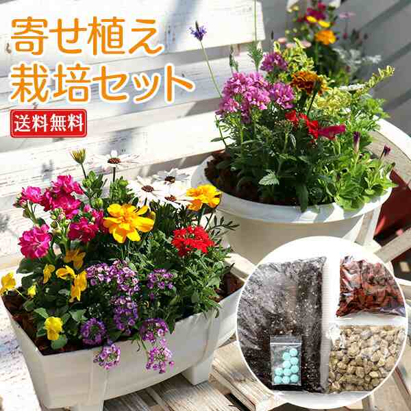 花苗と肥料と土と鉢が付いてこの価格！『 寄せ植え 栽培セット 』【 送料無料 】【 選べる鉢型 】｜au PAY マーケット