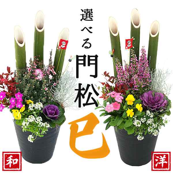 正月飾り 門松 送料無料『 お正月寄せ植え 』2個セット(1対) 選べる門松 門松アレンジ寄せ植え 7号鉢植え 高さ約70cm 一対 お祝い 縁起