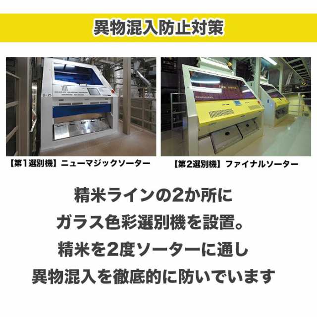 令和4年産 福井県産 ハナエチゼン 5kg 米 白米 おこめ 華越前 精米 単