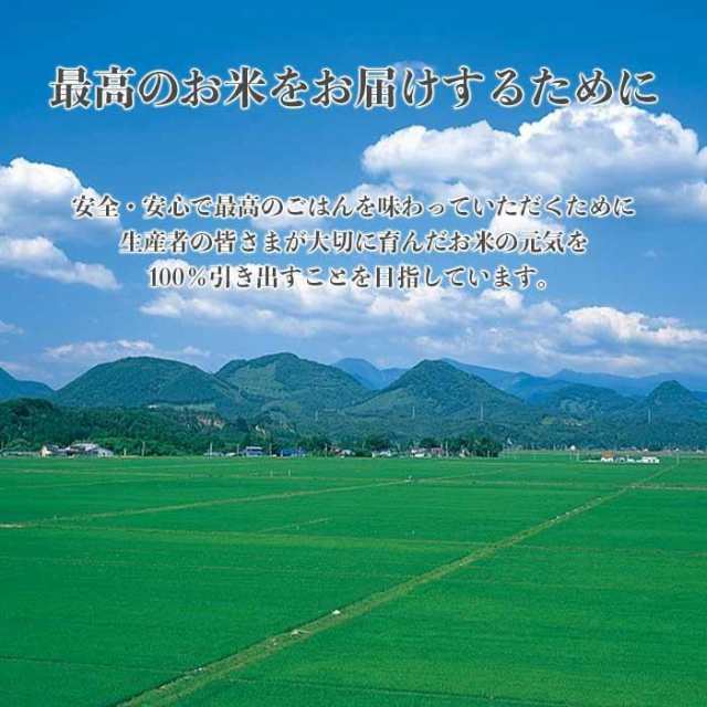 お米 令和4年産 宮城県産 つや姫 5kg×4袋 20kg 米 白米 おこめ 精米 単