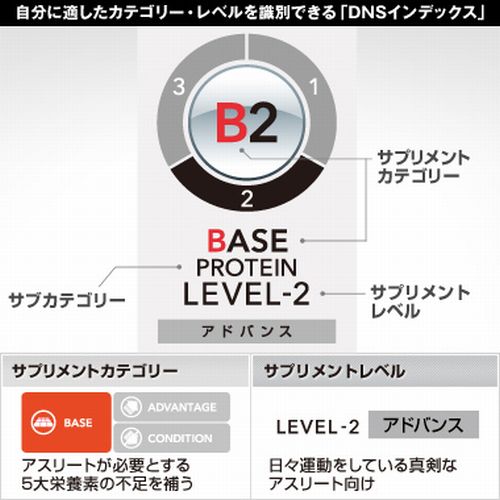 DNS(ディーエヌエス) Pro-X(プロエックス) マンゴー風味 1箱(24本入り) プロテインドリンク