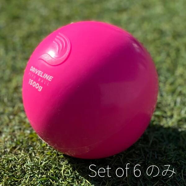 ドライブラインベースボール(DRIVELINE BASEBALL) プライオボール 6個セット PLYOBALL-6SET_2