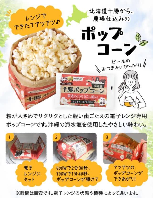 ポップコーン焼き塩味セット　10セット500人分 塩バター味500人セットi (アイ) | ポップコーン,ポップコーン