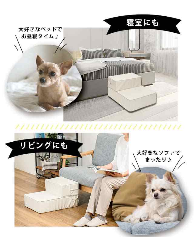 ドッグステップ 犬