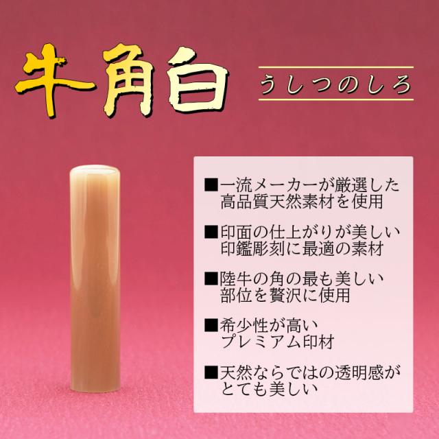 印鑑 実印 16.5mm 作成 牛角白 個人用 送料無料 事前印影デザイン確認無料_3