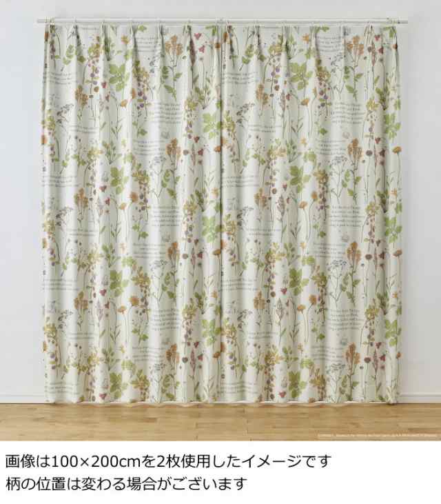 ディズニー カーテン 遮光 ドレープカーテン 100×178cm (1枚入り 