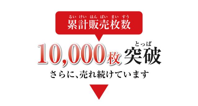 リバーシブル こたつ掛布団 長方形特大判（5尺）：205×285cm 送料無料 無地 日本製 【ktp10】_2