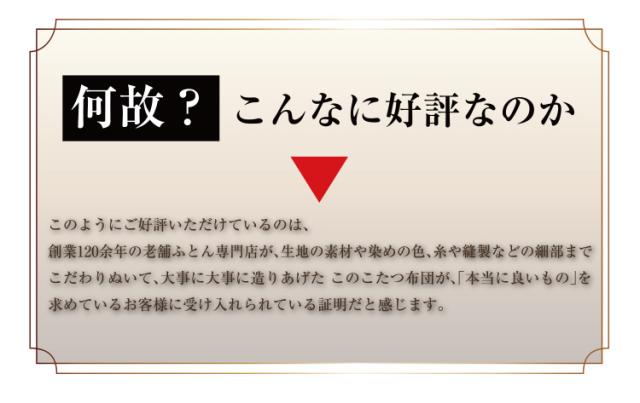 リバーシブル こたつ掛布団 長方形特大判（5尺）：205×285cm 送料無料 無地 日本製 【ktp10】_5