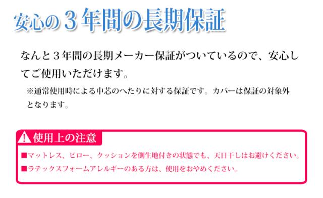 【正規品】 【3年保証】 【メーカー直送品】ボディドクター ドクターパッド ラテックス 120×195×2.5cm_11
