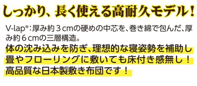 マンションにお住まいの方に【品名：ミント】湿気対策 3層 敷き布団 [テイジン 正規品 V-Lap?使用] 三層 超軽量 敷き布団 シングル 100×210cm 日本製 帝人 テイジン TEIJIN フィルケア? 敷きふとん 敷ふとん 体圧分散 抗菌 防臭 【圧縮梱包】ブイラップ　Vラップ_2