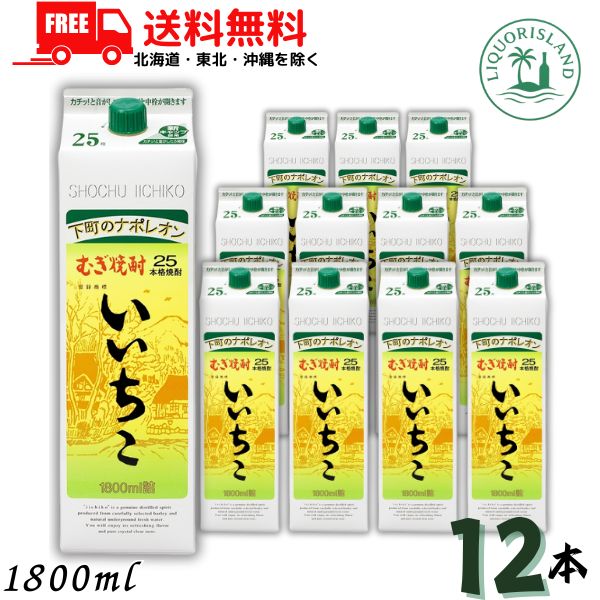 いいちこ 焼酎 25度 1.8L 1800ml パック 2ケースセット（12本入り） 麦焼酎 三和酒類 【地域限定 送料無料】 LSC