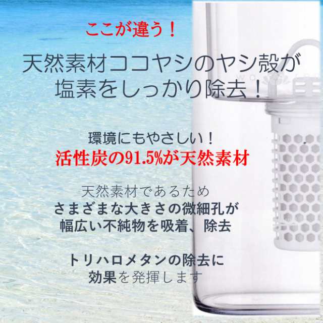 浄水器 蛇口直結型浄水器＆携帯用 ガイアライトボトル セット ガイアの