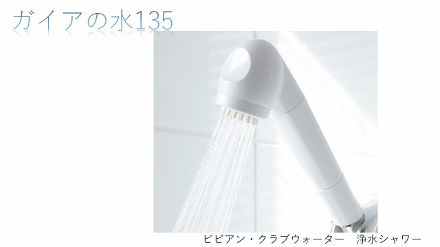 最大90％オフ！ 高エネルギー テラヘルツ波 シャワー型浄水器 asakusa