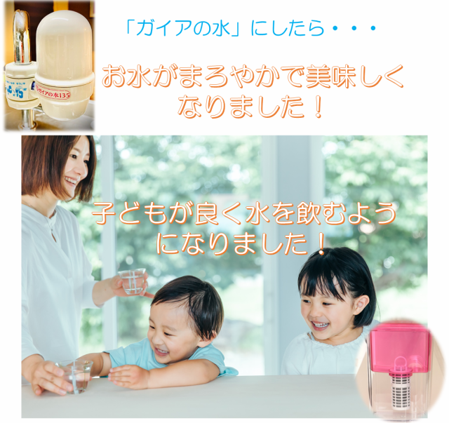 ガイアの水135 ガイアライトボトル 携帯用浄水ボトル 外でも美味しい水 【2022最新作】 ガイアの水 ガイアライトボトル スケルトン エンバランス加工プッシュ型浄水ボトル 日用品/生活雑貨