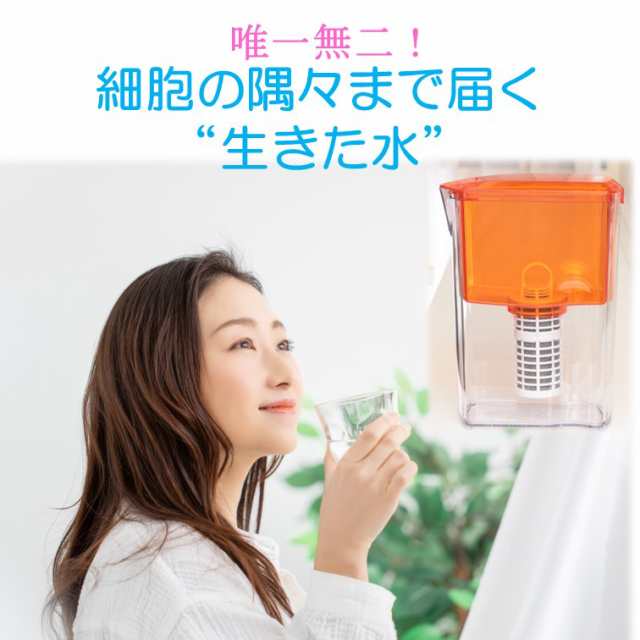 浄水器 ポット型浄水器 ガイアの水135 ビビアン 送料無料 の通販はau 