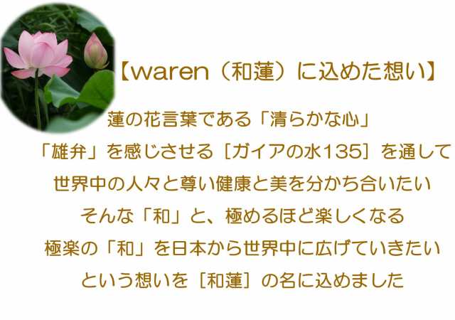 浄水器 ポット型浄水器 和蓮ポット waren ガイアの水135 乳酸発酵