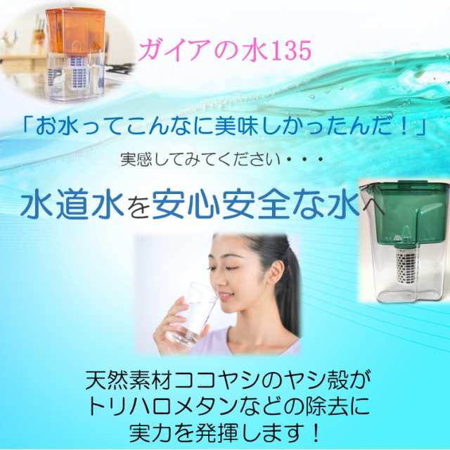 浄水器 ポット型浄水器 和蓮ポット waren ガイアの水135 乳酸発酵