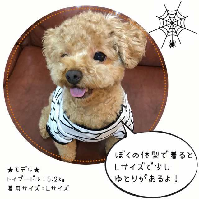 犬 服 ハロウィン コスチューム 犬服 ペット かわいい 可愛い いぬ ドッグウェア 防寒 ペット用 小型犬 散歩服 おしゃれ おでかけ 返品の通販はau Pay マーケット ディアコロン