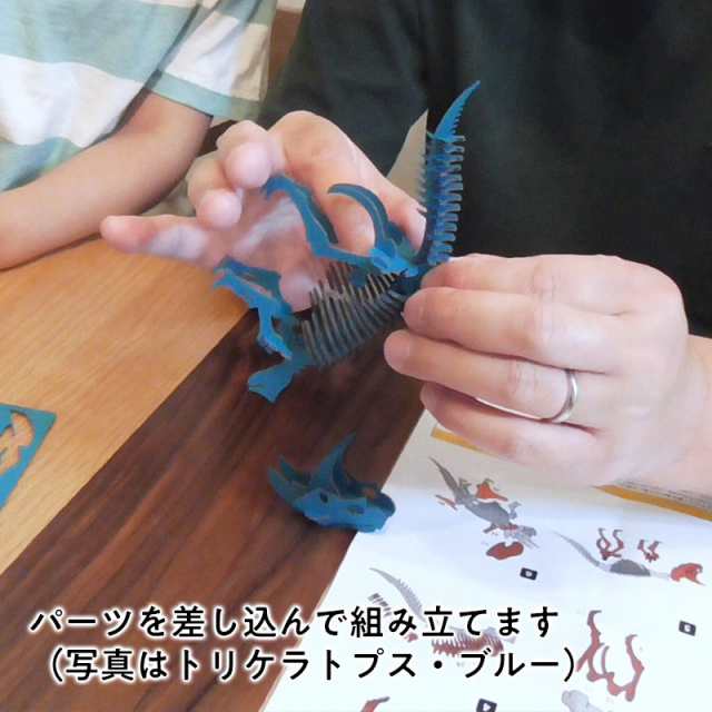 DINOSAUR恐竜骨格工作キット ブラキオサウルス・ブラック ダンボールで