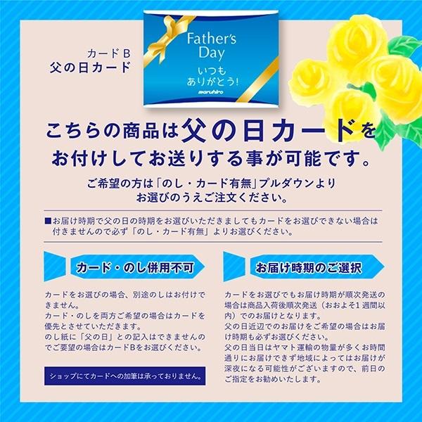 父の日 2026 ギフト お中元 2026 送料無料(一部地域除く) （スコッチ）ザ・マッカラン・ダブルカスク12年 YM12D2_3