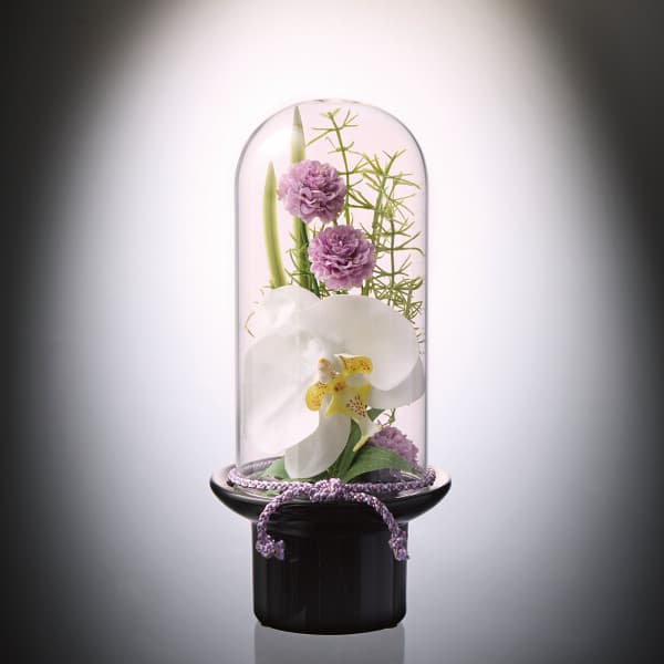 常花 35(仏具、仏壇) 仏壇のご本尊前に：豆常花＋豆 国産豆常花【淡彩