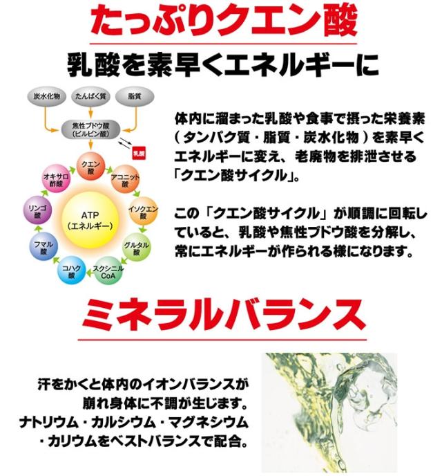 ◆◆ ＜メダリスト＞ MEDALIST クエン酸コンクRJ 900mL(12本セット／1本で約27L分) 888562_3