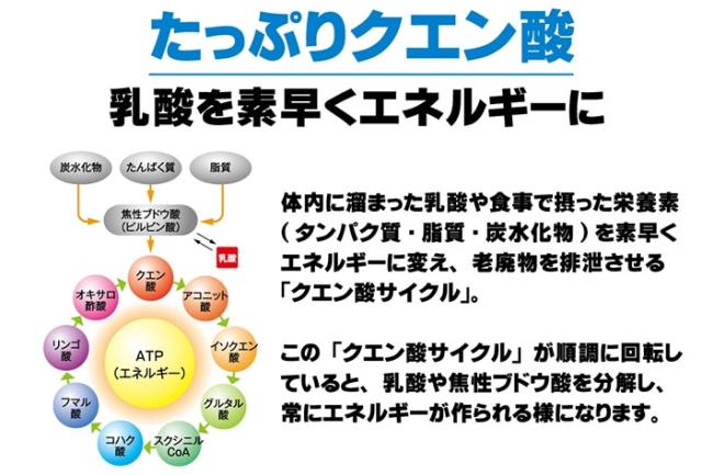 ◆◆ ＜メダリスト＞ MEDALIST クエン酸コンク ミネラル・鉄プラス 900mL(12本セット／1本で約27L分) 890015_4
