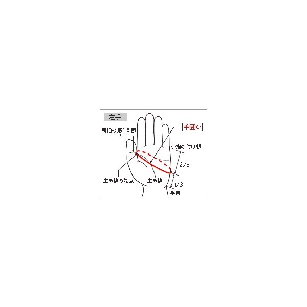 ◇◇送料無料 メール便発送 ＜ミズノ＞ MIZUNO 【ミズノプロ】守備手袋