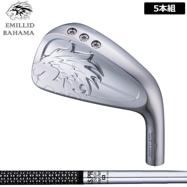 エミリッド バハマ CV10 アイアン 5本組(#6-P) 日本シャフト N.S.PRO 750GH 装着 NS スチール 【カスタム】【新品】 EMILLID BAHAMA 中空 セット