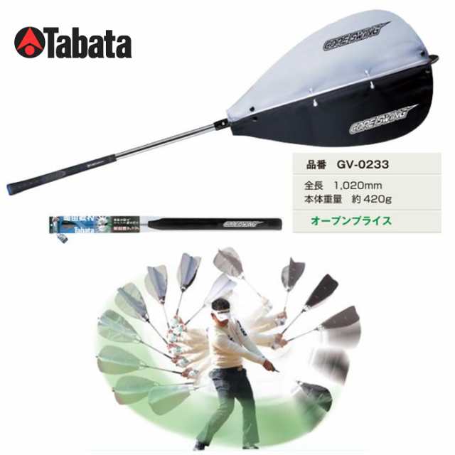 大特価放出！ 藤田コアスイング あなたの練習器具 Tabata CORE GV-0233 