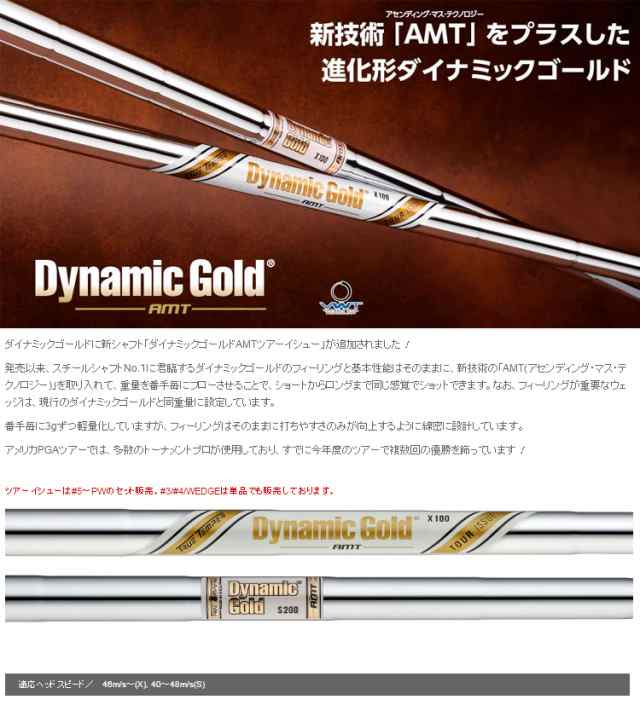 Dynamic Gold ダイナミックゴールドamt アイアン用シャフト単品 2 3 4 Wedge 日本仕様 新品 True Temper トゥルーテンパーの通販はau Pay マーケット サードウェイブ ゴルフ スポーツ Au Pay マーケット店