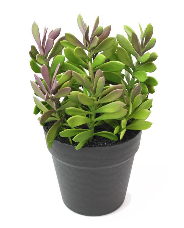 観葉植物 フェイクグリーン クラッスラ ポット インテリア 造花 ガーデン 雑貨 Diyの通販はau Pay マーケット アートショップ フォームス Au Pay マーケット店