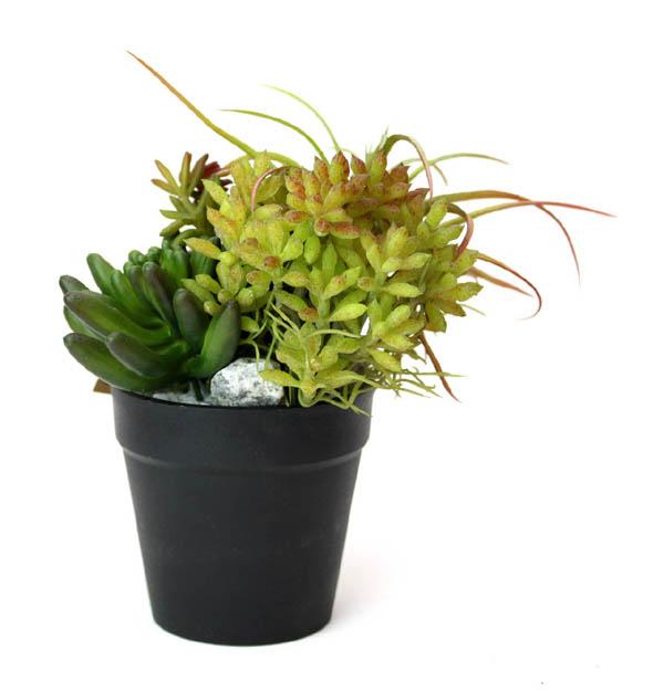 観葉植物 フェイクグリーン ミニアレンジメント ポット Sb インテリア 造花 ガーデン 雑貨 Diyの通販はau Pay マーケット アートショップ フォームス Au Pay マーケット店 観葉植物 フェイクグリーン ミニアレンジメント ポット Sb インテリア 造花 ガーデン 雑貨 Diyの通販はau Pay マーケット アートショップ フォームス Au Pay マーケット店