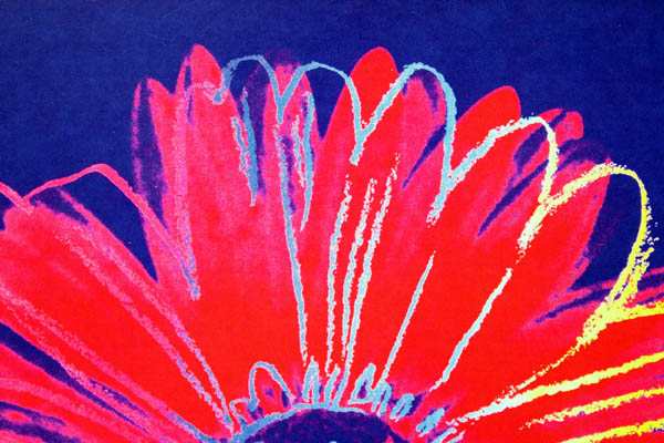 アンディ・ウォーホル「デイジー(ブルー&レッド)Daisy,c 1982」展示用フック付ポスター ポップアート【インテリア】【アート】【アンディ｜au  PAY マーケット