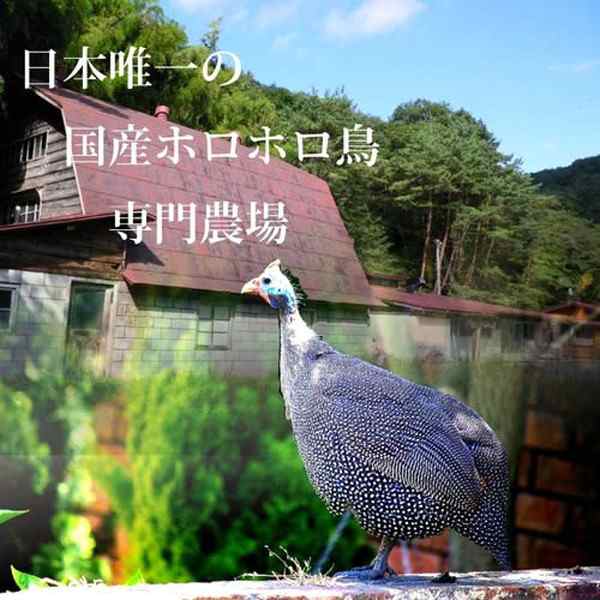 ホロホロチョウ ほろほろ鳥 石黒農場 国産 ホロホロ鳥 粗挽きフランク 4本入り 安心の国内農場直送の通販はau Pay マーケット 食紀行