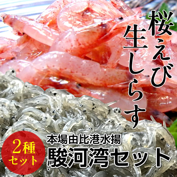 生桜えび 生しらす 駿河湾セット サクラエビ 40g2p シラス 150g2p 静岡県由比港 田子の浦 産地直送 送料無料 の通販はau Pay マーケット 食紀行