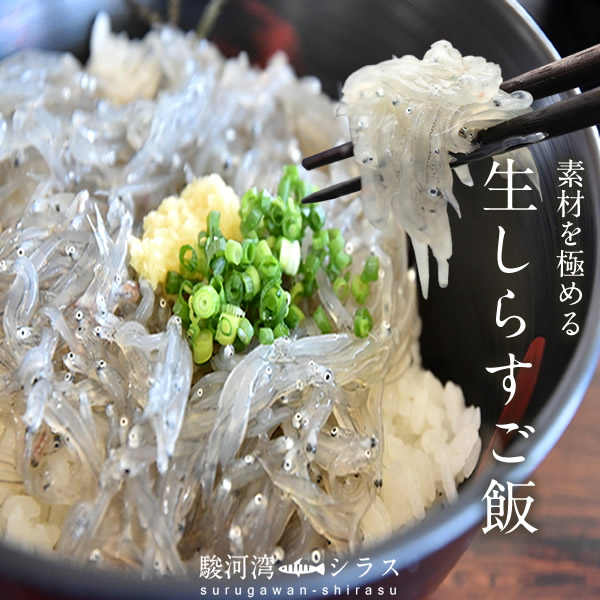 桜えび 生しらす お試し 駿河湾セット サクラエビ シラス 釜揚げしらす 漬け 桜えび粉 静岡県由比港 田子の浦 産地直送 送料無料 の通販はau Pay マーケット 食紀行