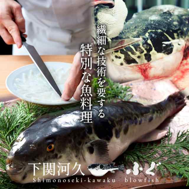 ふぐ ふぐ刺し 国産天然 活き真ふぐ 刺身 60g とらふぐ皮刺し フグ 料理 本場山口県産 活締め 女王まふぐ 生 刺し身 てっさ 皿盛りの通販はau Pay マーケット 食紀行