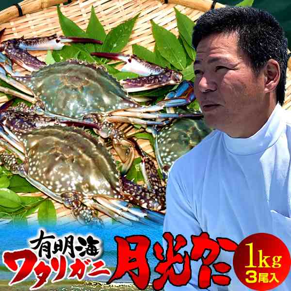 ワタリガニ直売 活〆 有明海 生 渡り蟹 1kg(小3尾入)わたりがに 熊本県