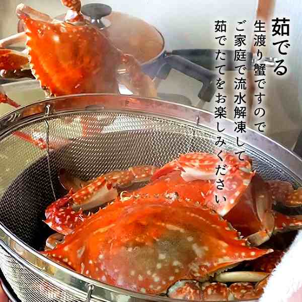 ワタリガニ直売 活〆 有明海 生 渡り蟹 1kg(小3尾入)わたりがに 熊本県