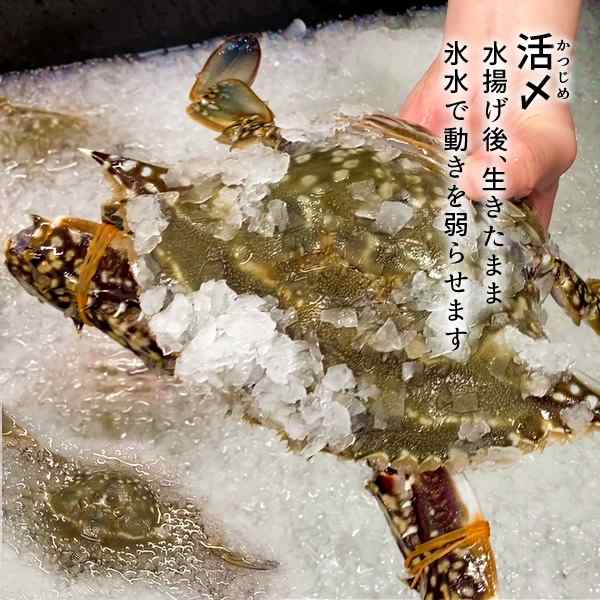 ワタリガニ直売 活〆 有明海 生 渡り蟹 1kg(小3尾入)わたりがに 熊本県