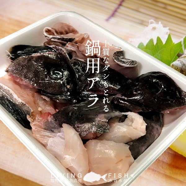 マハタ 鍋セット 三重県尾鷲産 活魚養殖場 幻の高級魚 白身魚の最高峰 まるごと1尾の通販はau Pay マーケット 食紀行