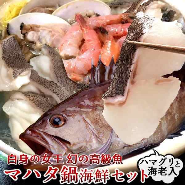 マハタ 海鮮鍋セット エビ ハマグリ付き 三重県尾鷲産 活魚養殖場 幻の高級魚 白身魚の最高峰 まるごと1尾の通販はau Pay マーケット 食紀行